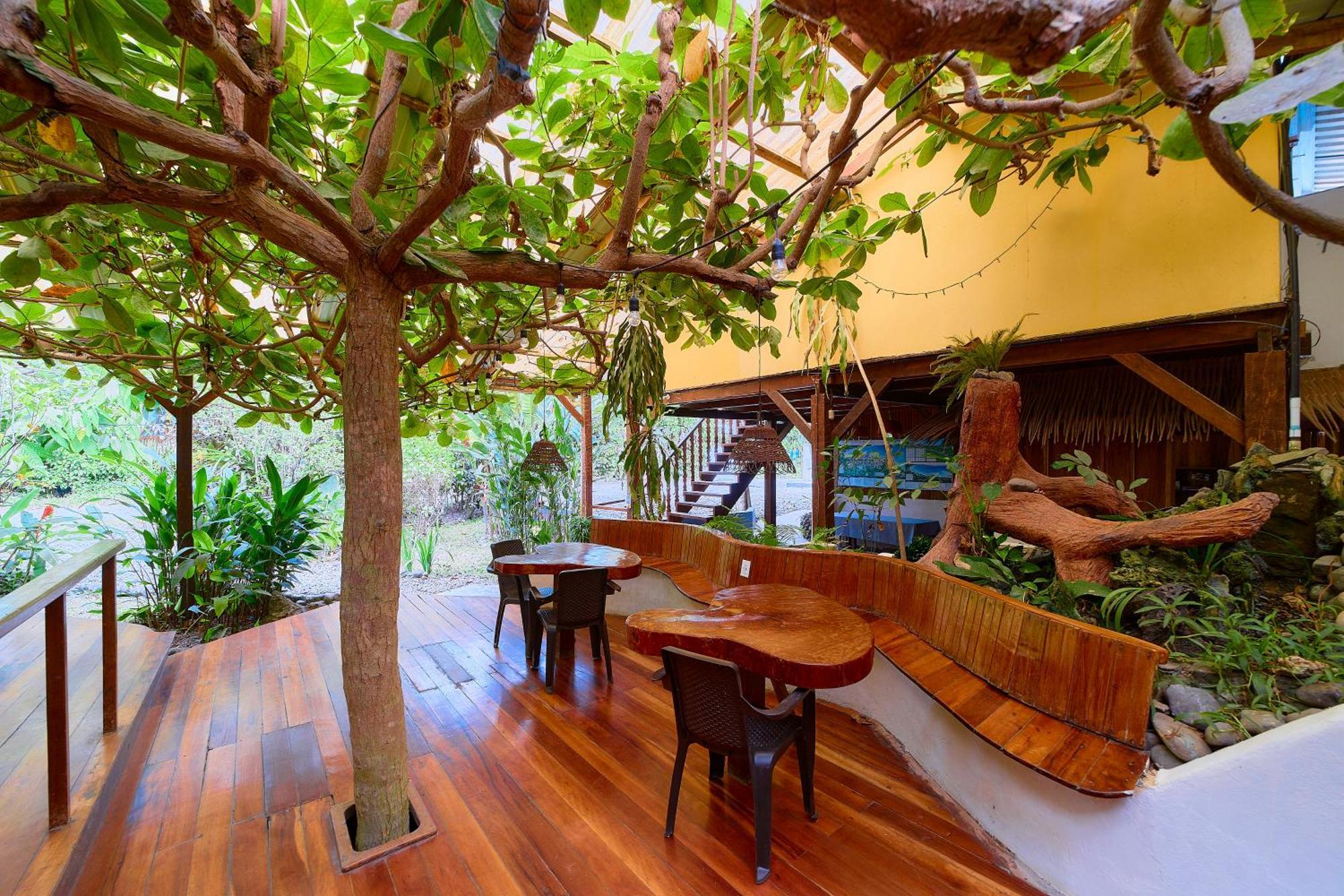 Cabinas Montesol Puerto Viejo de Talamanca Ngoại thất bức ảnh