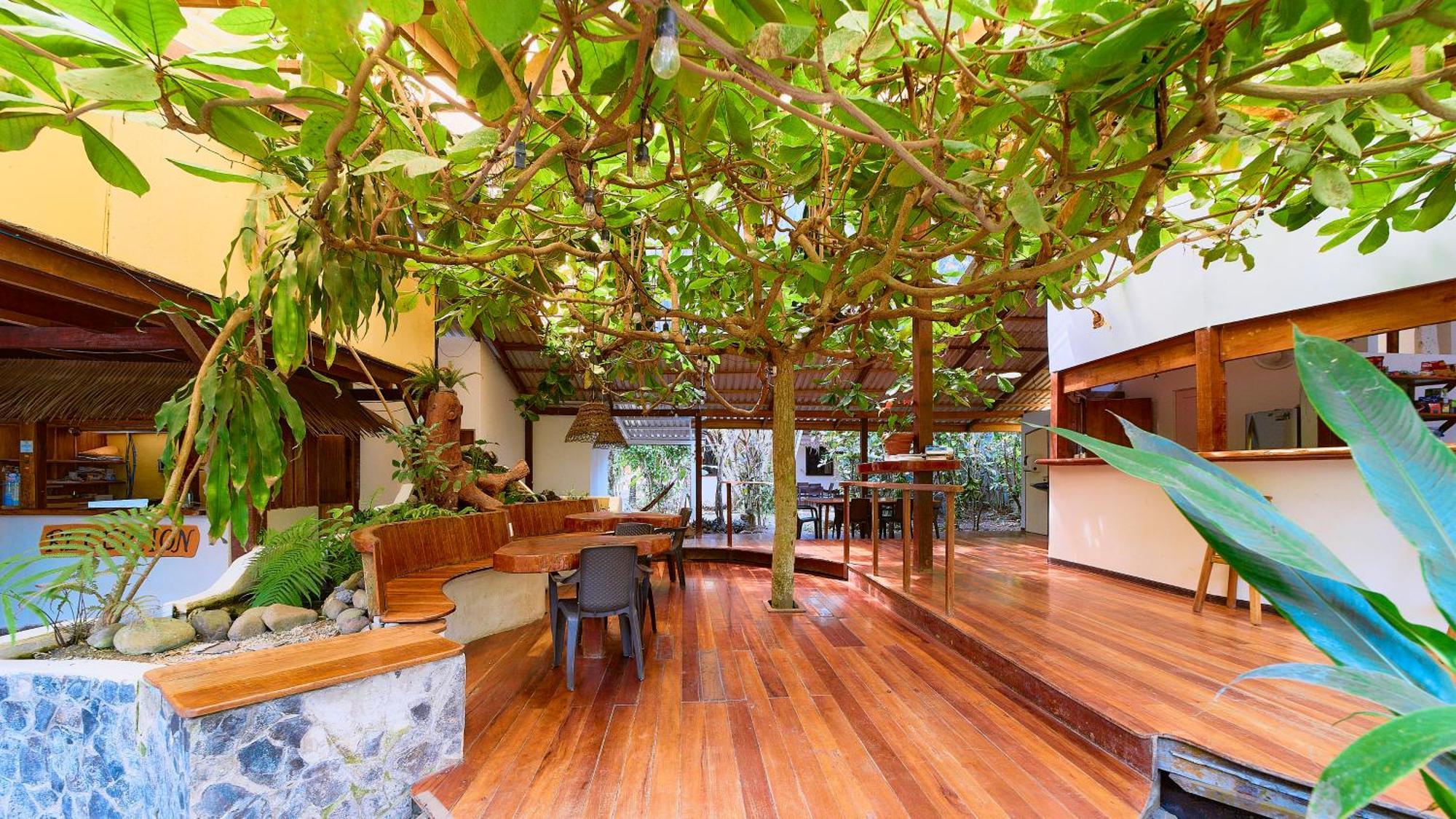 Cabinas Montesol Puerto Viejo de Talamanca Ngoại thất bức ảnh