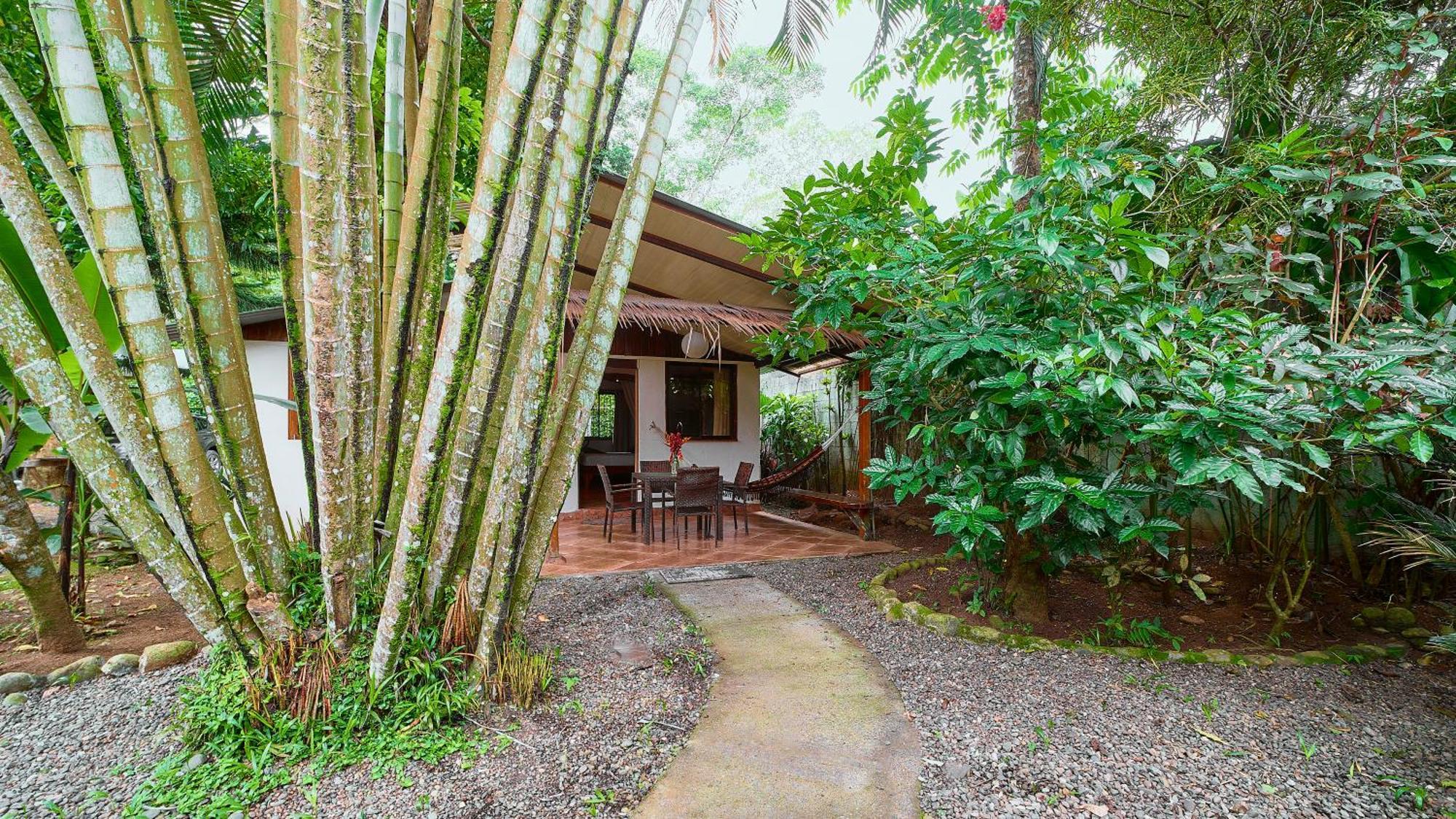 Cabinas Montesol Puerto Viejo de Talamanca Ngoại thất bức ảnh