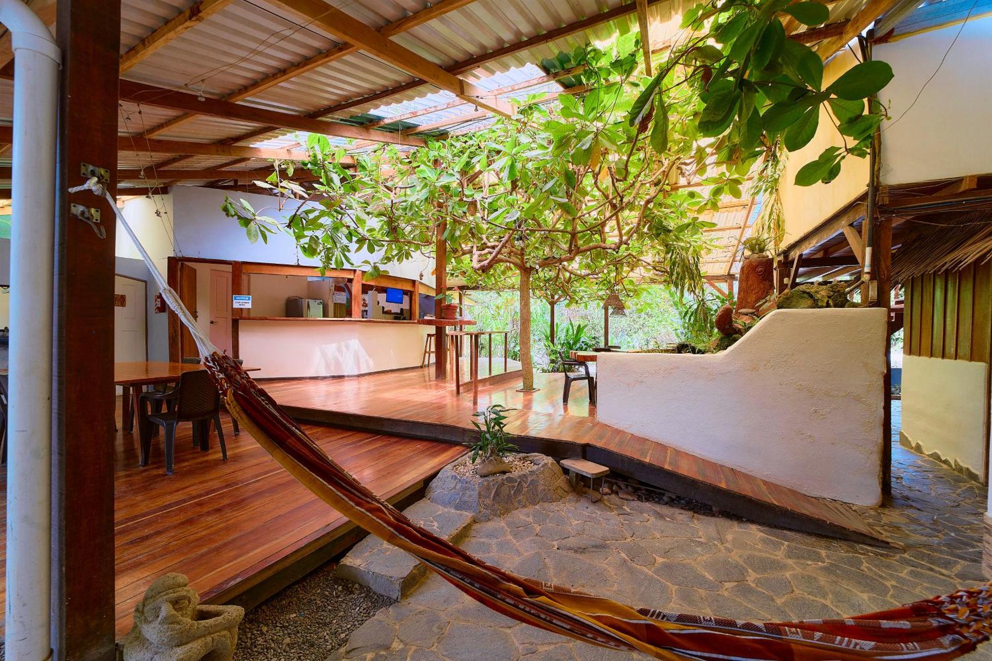 Cabinas Montesol Puerto Viejo de Talamanca Ngoại thất bức ảnh